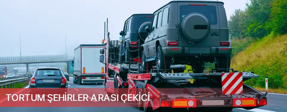Tortum İlçemi Şehirler Arası Çekici